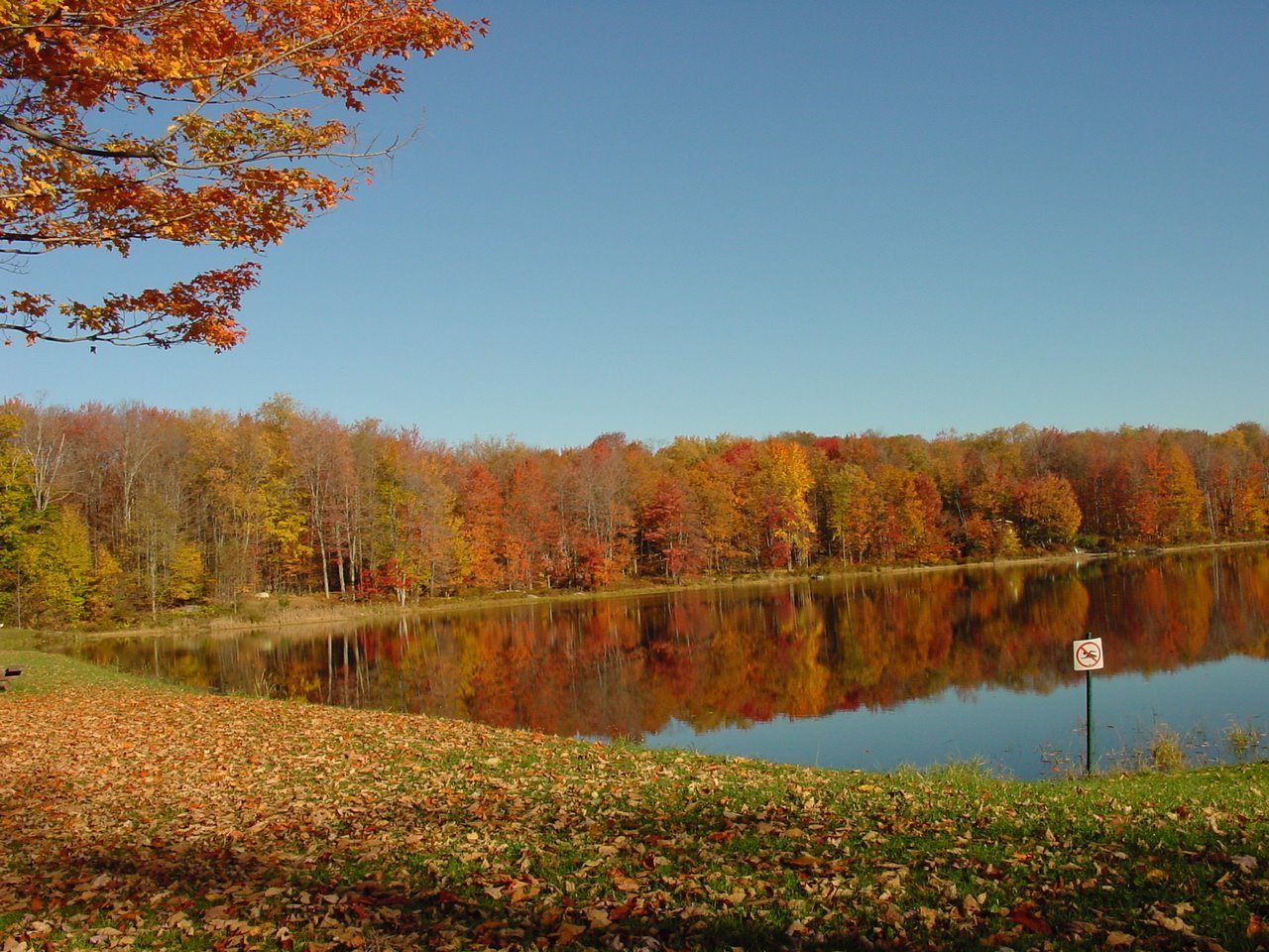 Ponderosa-Pines-Campground-Lake